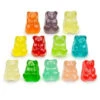 Albanese Cubs 12-Flavors Baby Gummy Bears: 5LB Bag -Candy World Shop albanese cubs 12 flavors baby gummy bears 5lb bag candy warehouse 1