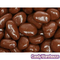 Albanese Milk Chocolate Covered Raisins Candy - Jumbo: 5LB Bag -Candy World Shop albanese milk chocolate covered raisins candy jumbo 5lb bag candy warehouse 4
