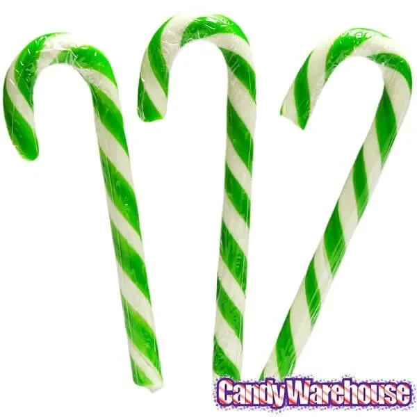 Archie McPhee Pickle Candy Canes: 6-Piece Box 4 Archie McPhee Pickle Candy Canes: 6-Piece Box - Image 2