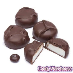 Asher's Sugar Free Chocolate Peppermint Patties - Dark: 6LB Box -Candy World Shop asher s sugar free chocolate peppermint patties dark 6lb box candy warehouse 3