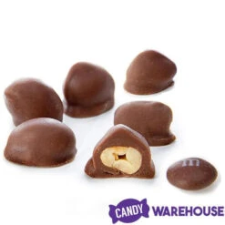 Brach's Double Dippers Milk Chocolate Covered Peanuts: 12-Ounce Bag 9 Brach's Double Dippers Milk Chocolate Covered Peanuts: 12-Ounce Bag -Candy World Shop brach s double dippers milk chocolate covered peanuts 12 ounce bag candy warehouse 3 6c5445c4 b288 498f b1a5 4083f6aed8f9