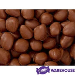Brach's Double Dippers Milk Chocolate Covered Peanuts: 12-Ounce Bag 10 Brach's Double Dippers Milk Chocolate Covered Peanuts: 12-Ounce Bag -Candy World Shop brach s double dippers milk chocolate covered peanuts 12 ounce bag candy warehouse 4 7a6bd210 22d2 46b8 86dc 4fa28e85147b