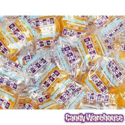 Brach's Sugar Free Butterscotch Candy Discs: 2.6LB Box -Candy World Shop brach s sugar free butterscotch candy discs 2 6lb box candy warehouse 3 b22dd37a 5d07 4847 84ec 20e89561d58b