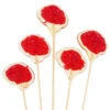 Brain Hard Candy Lollipops: 12-Piece Bag -Candy World Shop brain hard candy lollipops 12 piece bag candy warehouse 1