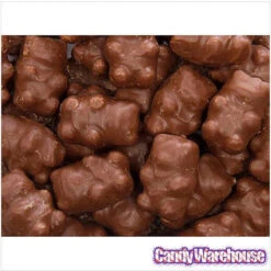 Chocolate Covered Cinnamon Bears: 14-Ounce Bag -Candy World Shop chocolate covered cinnamon bears 14 ounce bag candy warehouse 3