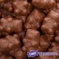 Chocolate Covered Cinnamon Bears: 3LB Bag 7 Chocolate Covered Cinnamon Bears: 3LB Bag -Candy World Shop chocolate covered cinnamon bears 3lb bag candy warehouse 3 09c9fde5 5480 4125 bc3e 99c47ff0568d