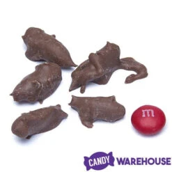 Chocolate Covered Crickets: 100-Piece Tub -Candy World Shop chocolate covered crickets 100 piece tub candy warehouse 3