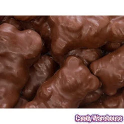 Chocolate Covered Jumbo Gummy Bears: 5LB Box -Candy World Shop chocolate covered jumbo gummy bears 5lb box candy warehouse 3