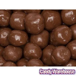 Chocolate Covered S'Moresels: 2LB Bag -Candy World Shop chocolate covered s moresels 2lb bag candy warehouse 3