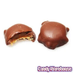 DeMet's Turtles Bite Size Chocolates: 60-Piece Box -Candy World Shop demet s turtles bite size chocolates 60 piece box candy warehouse 4