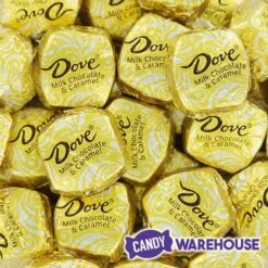 Dove Milk Chocolate Caramel Squares: 28-Piece Bag -Candy World Shop dove milk chocolate caramel squares 28 piece bag candy warehouse 4