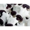 Gustaf's White & Black Gummy Cow Heads: 1KG Bag -Candy World Shop gustaf s white and black gummy cow heads 1kg bag candy warehouse 1 74f63d65 a925 480c 8b58 33c11e6af305