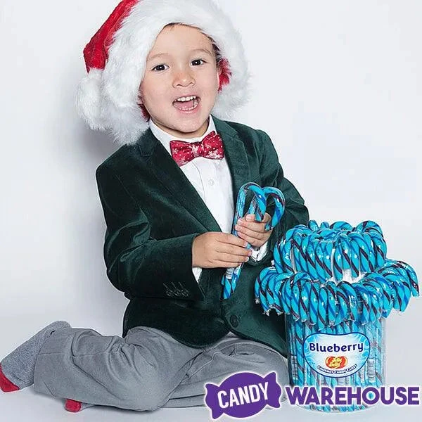 Jelly Belly Candy Canes - Blueberry: 80-Piece Bucket 5 Jelly Belly Candy Canes - Blueberry: 80-Piece Bucket - Image 3