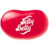 Jelly Belly Cinnamon: 10LB Case -Candy World Shop jelly belly cinnamon 10lb case candy warehouse 1 9b14c881 544a 496f a641 c34712bcc31c