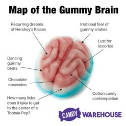 Jelly Filled Gummy Brains: 1KG Bag 9 Jelly Filled Gummy Brains: 1KG Bag -Candy World Shop jelly filled gummy brains 1kg bag candy warehouse 3