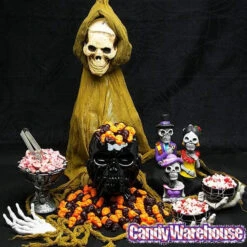 Featured Products -Candy World Shop jelly filled gummy skulls candy 5lb bag candy warehouse 2