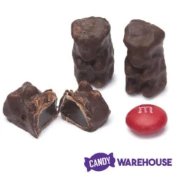 Koppers Dark Chocolate Covered Gummi Bears: 1LB Jar -Candy World Shop koppers dark chocolate covered gummi bears 1lb jar candy warehouse 3