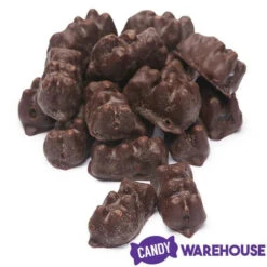 Koppers Dark Chocolate Covered Gummi Bears: 1LB Jar -Candy World Shop koppers dark chocolate covered gummi bears 1lb jar candy warehouse 4