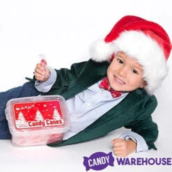 Mini Candy Canes - Red And White: 100-Piece Tub -Candy World Shop mini candy canes red and white 100 piece tub candy warehouse 3