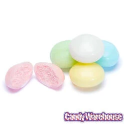 Pastel Polar Mints Candy: 5LB Bag 10 Pastel Polar Mints Candy: 5LB Bag -Candy World Shop pastel polar mints candy 5lb bag candy warehouse 4
