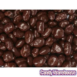 Raisinets Milk Chocolate Raisins Candy: 8-Ounce Bag -Candy World Shop raisinets milk chocolate raisins candy 8 ounce bag candy warehouse 4 e8189a75 ec0b 4767 a160 01f21970455a