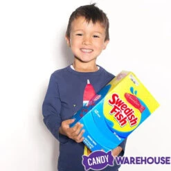 Red Swedish Fish Candy - Wrapped: 240-Piece Box -Candy World Shop red swedish fish candy wrapped 240 piece box candy warehouse 3 5019480a 7fa6 45c9 a290 8fb7f08ddc74