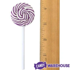 Squiggly Pops Petite Swirl Lollipops - Grape: 24-Piece Jar -Candy World Shop squiggly pops petite swirl lollipops grape 24 piece jar candy warehouse 6 ac3a993e 5d74 498d b710 408838918b01