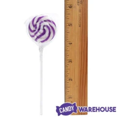Swipple Pops Petite Swirl Ripple Lollipops - Purple Grape: 60-Piece Tub -Candy World Shop swipple pops petite swirl ripple lollipops purple grape 60 piece tub candy warehouse 4